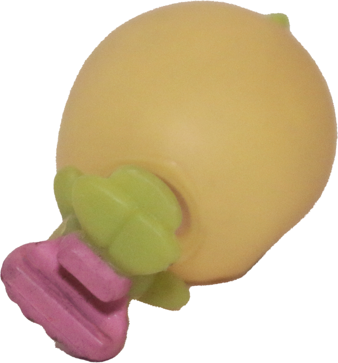 #0595 Parakeet