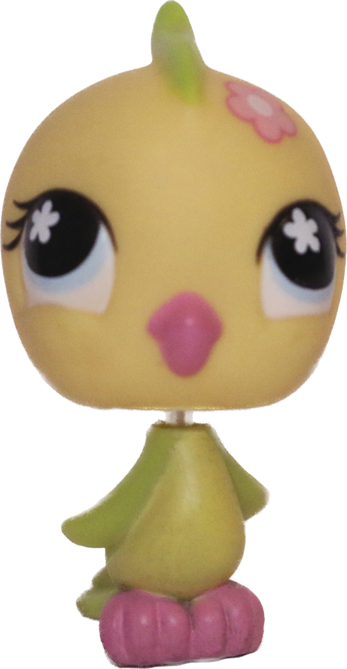 #0595 Parakeet
