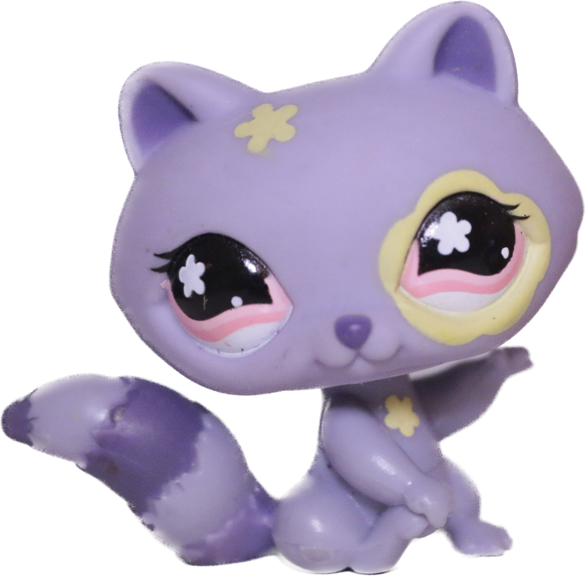 #0597 Raccoon