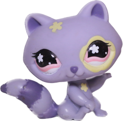 #0597 Raccoon