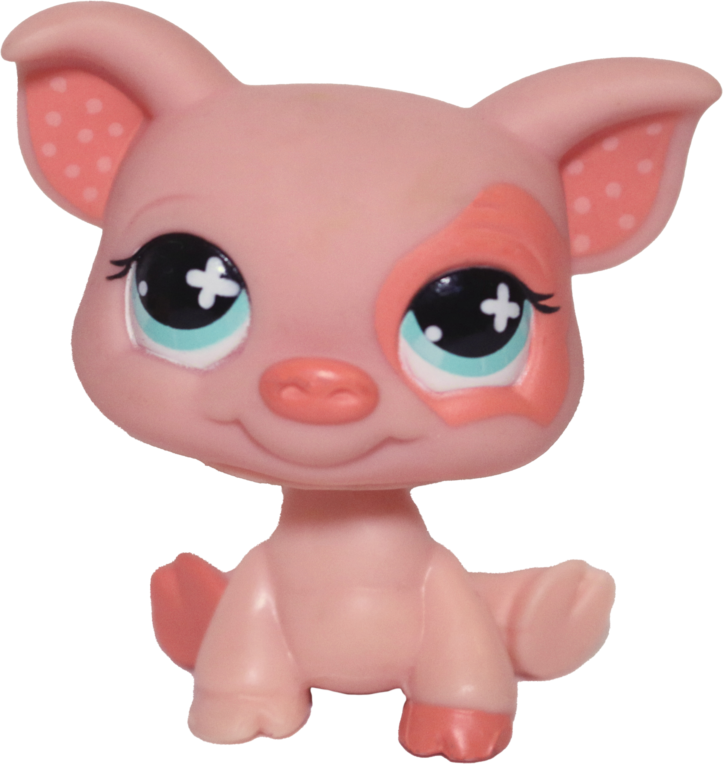 #0622 Pig