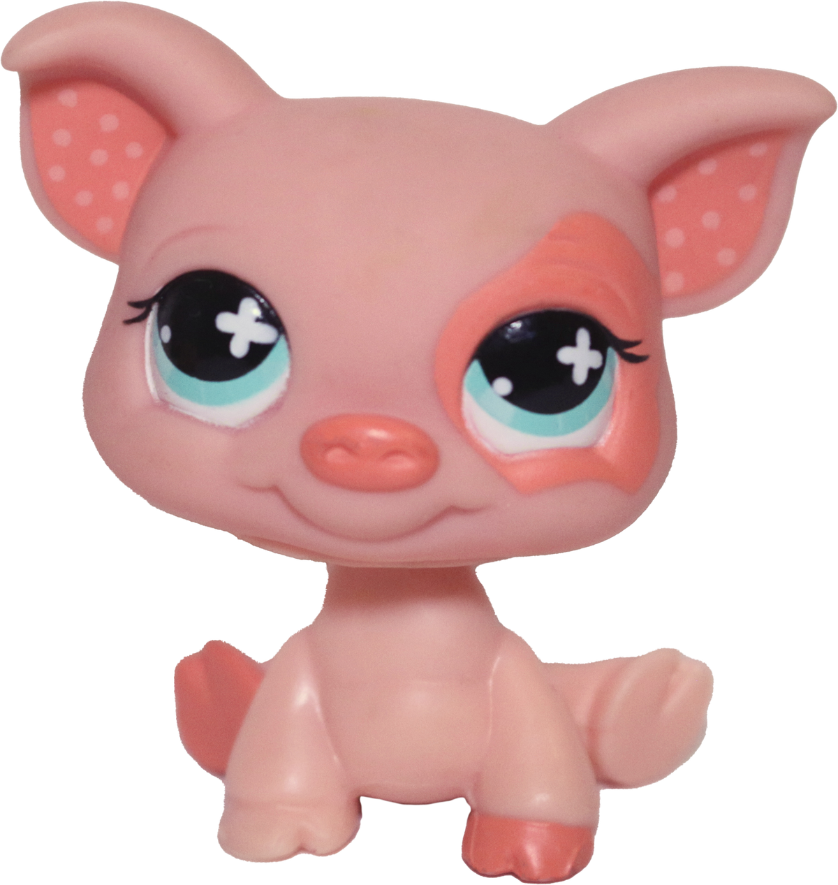 #0622 Pig