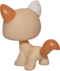 #0626 Destiny Cat