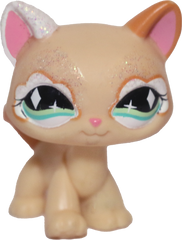 #0626 Destiny Cat