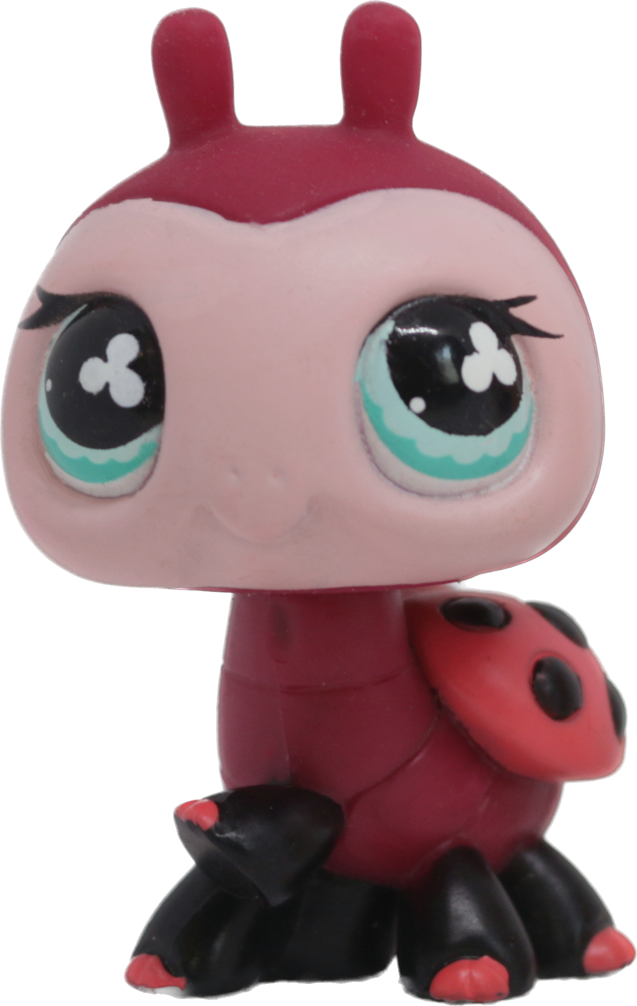 #0629 Ladybug