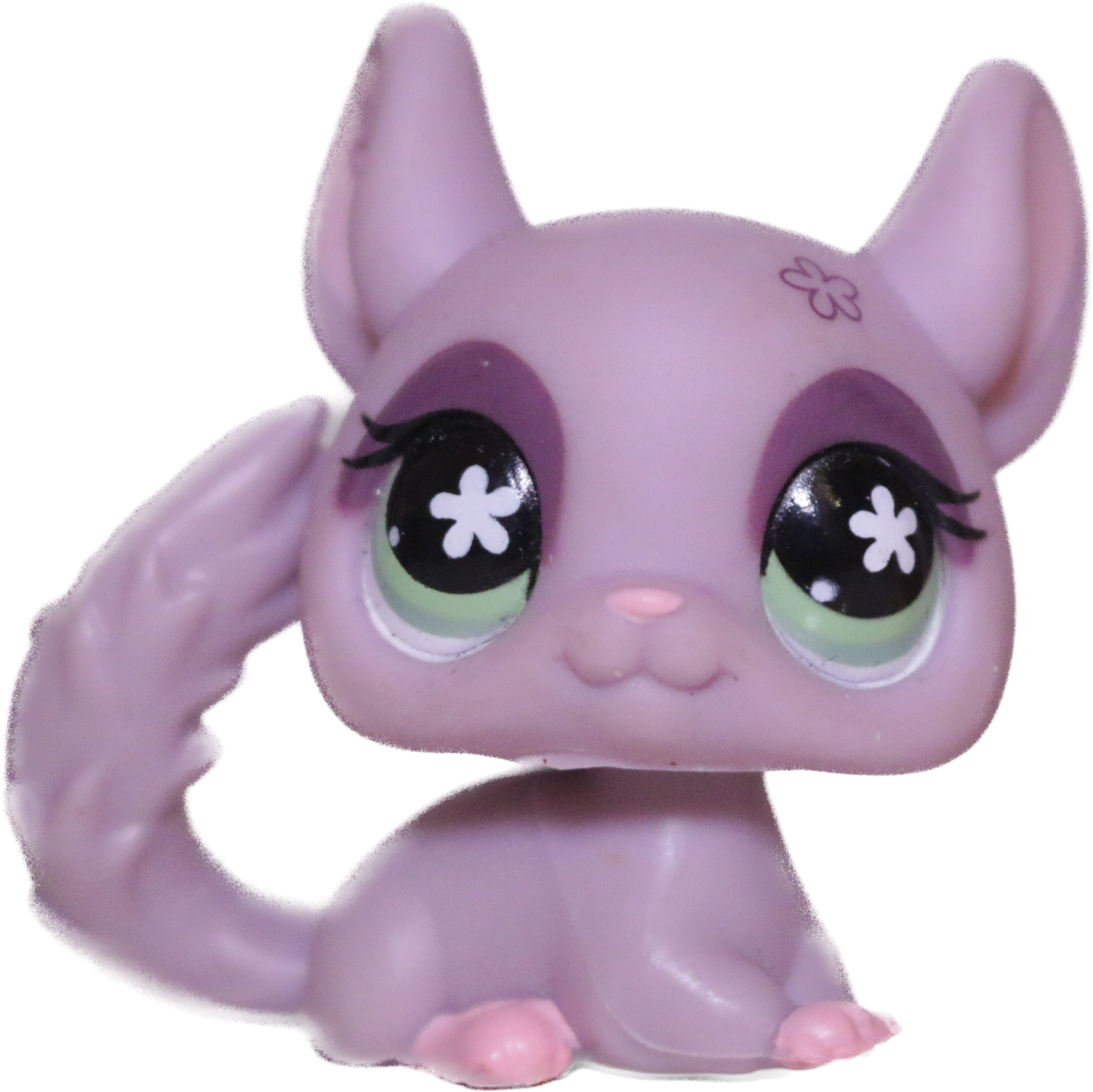 #0630 Chinchilla
