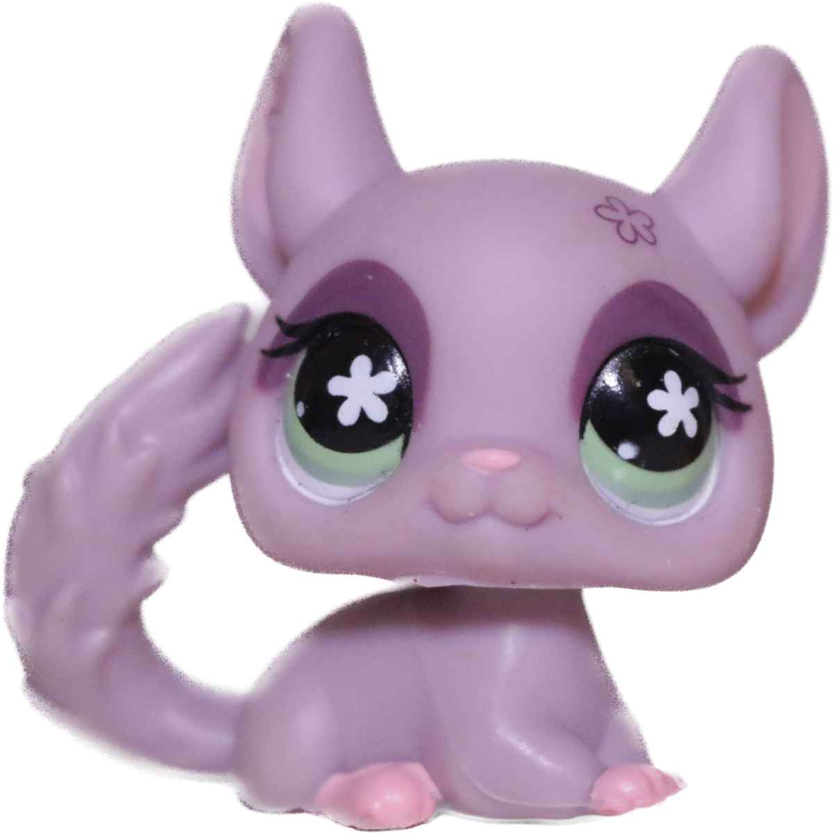 #0630 Chinchilla