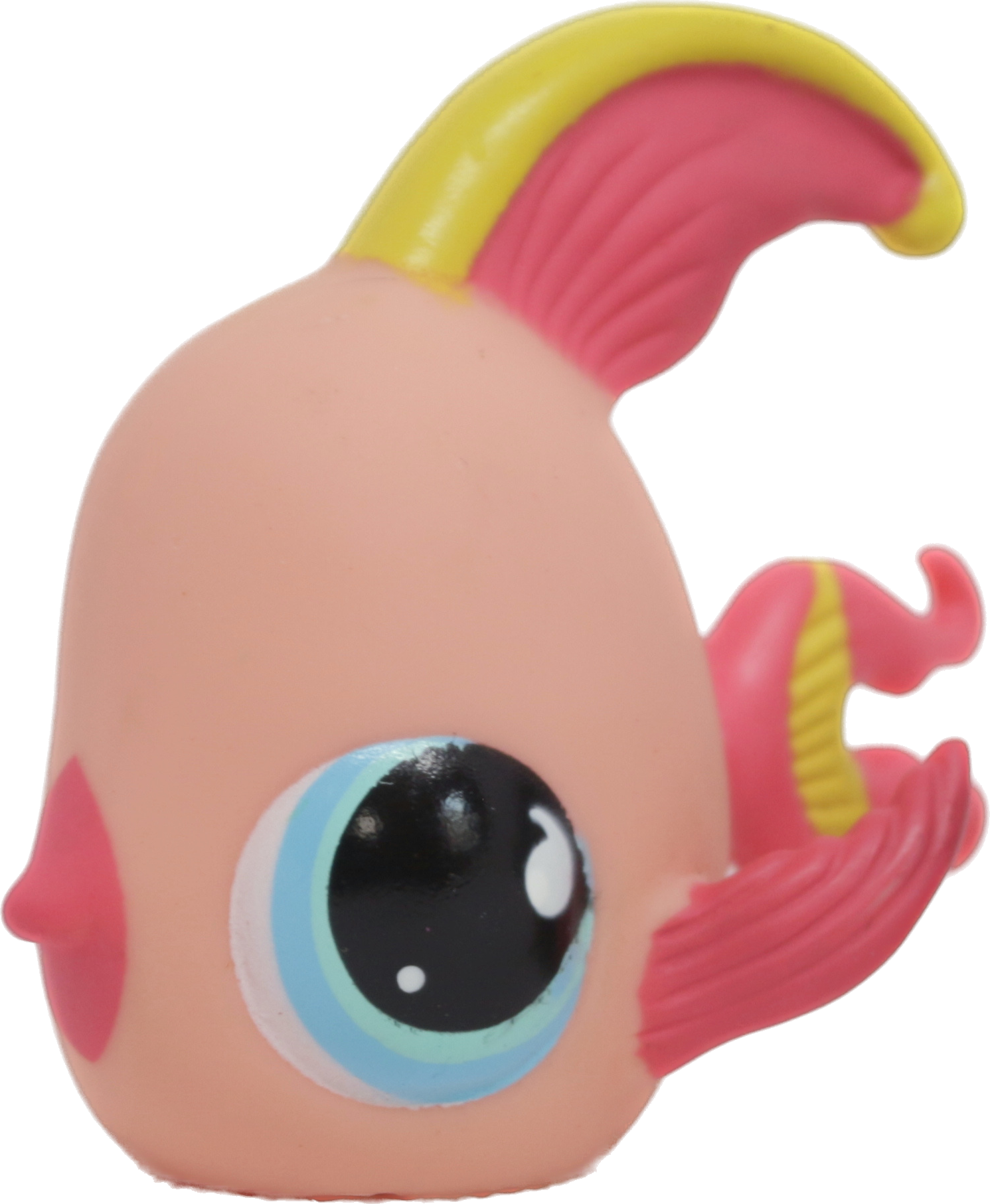 #0643 Angelfish