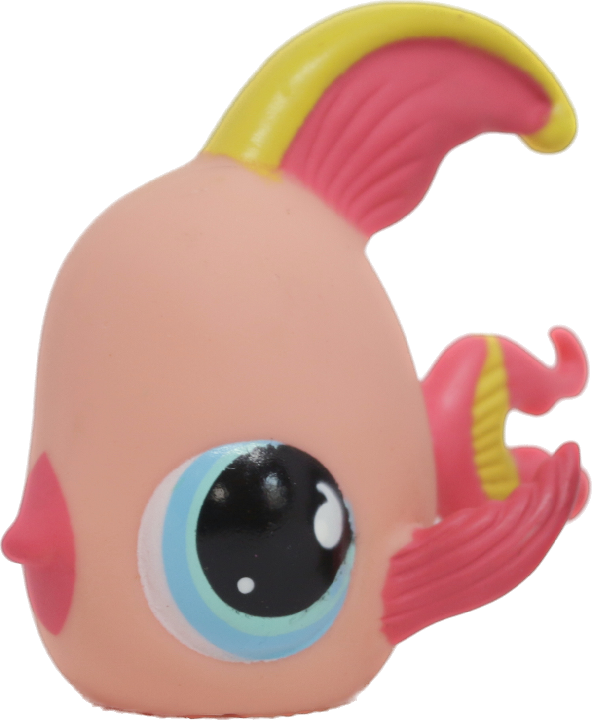 #0643 Angelfish