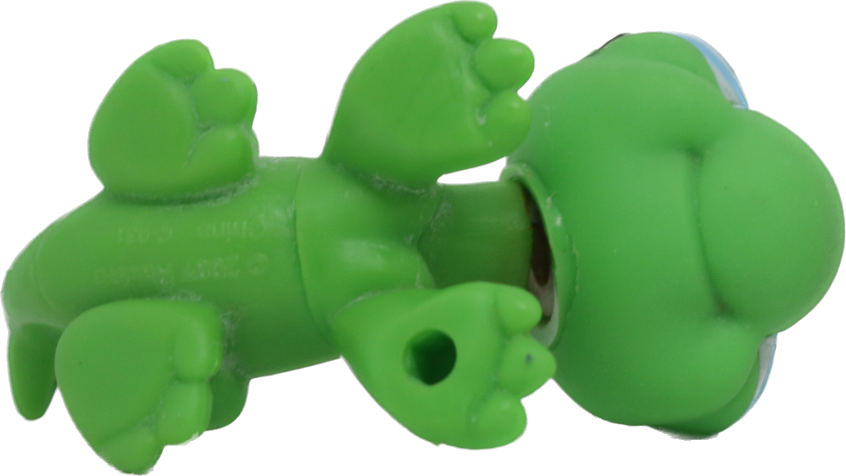 #0651 Iguana