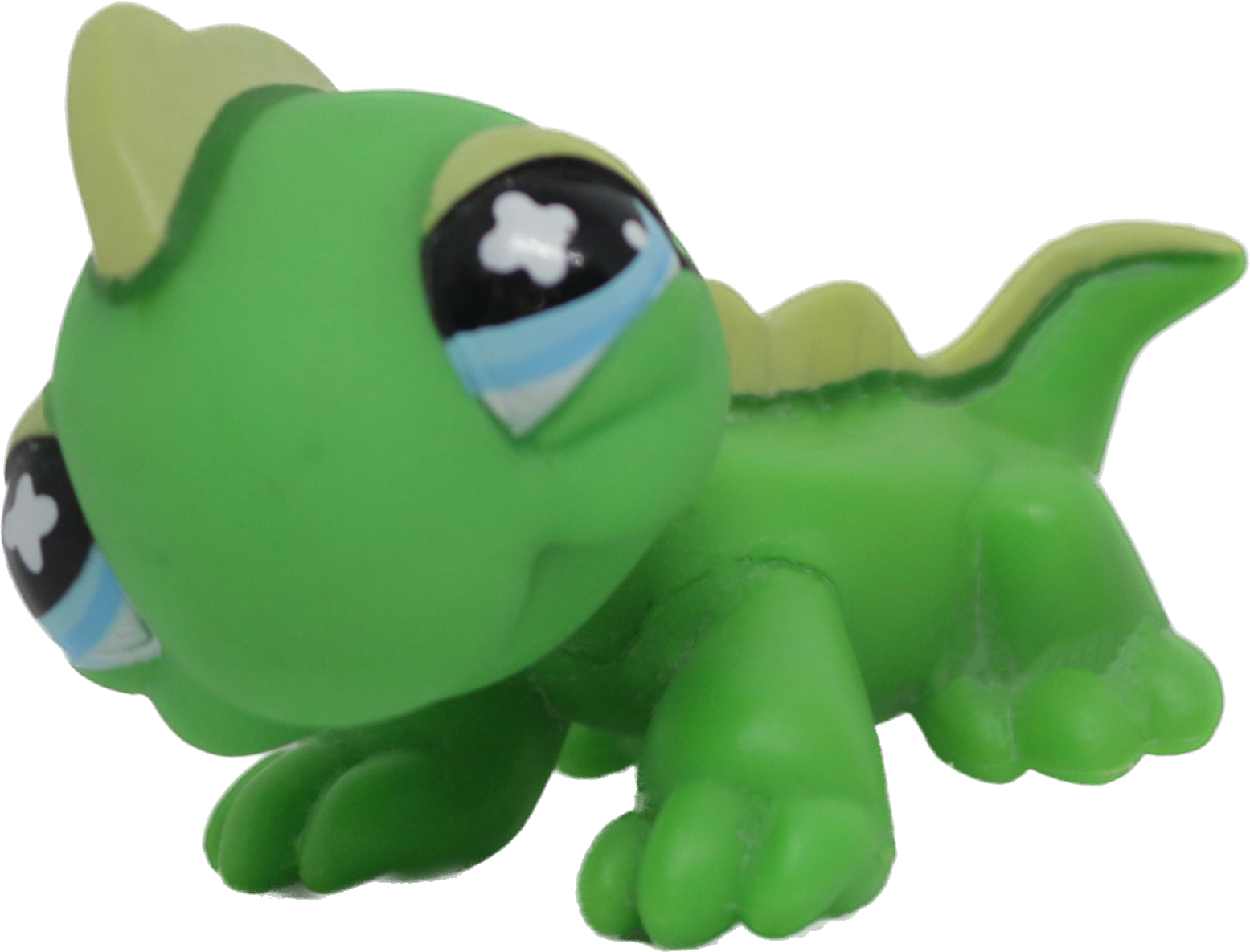 #0651 Iguana