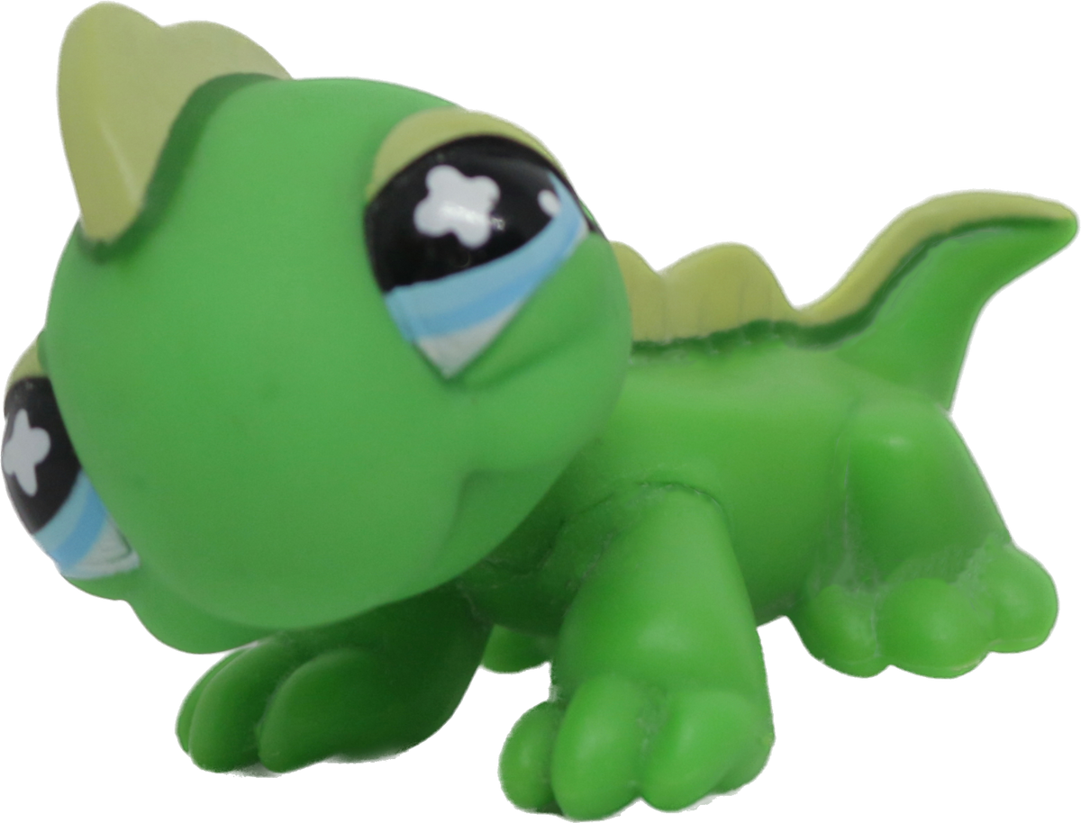 #0651 Iguana