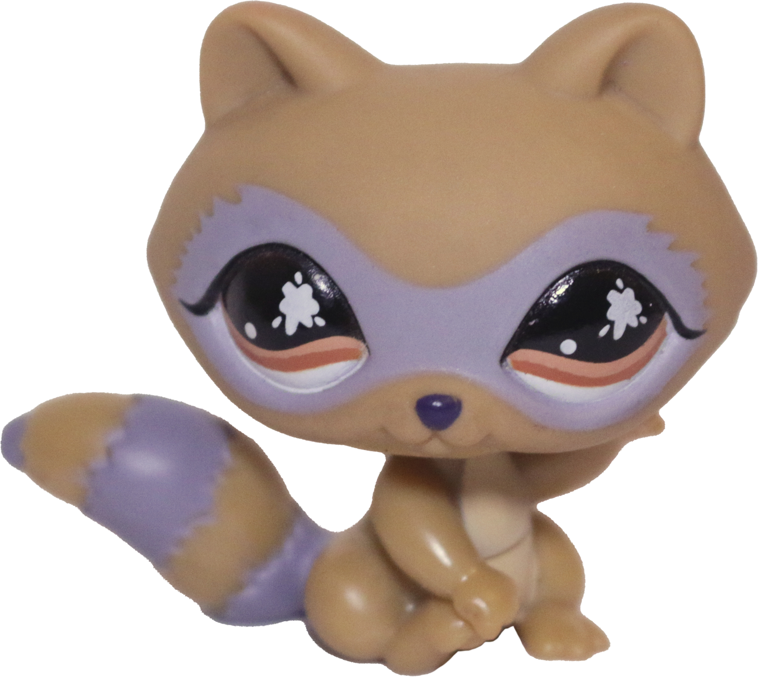 #0652 Raccoon