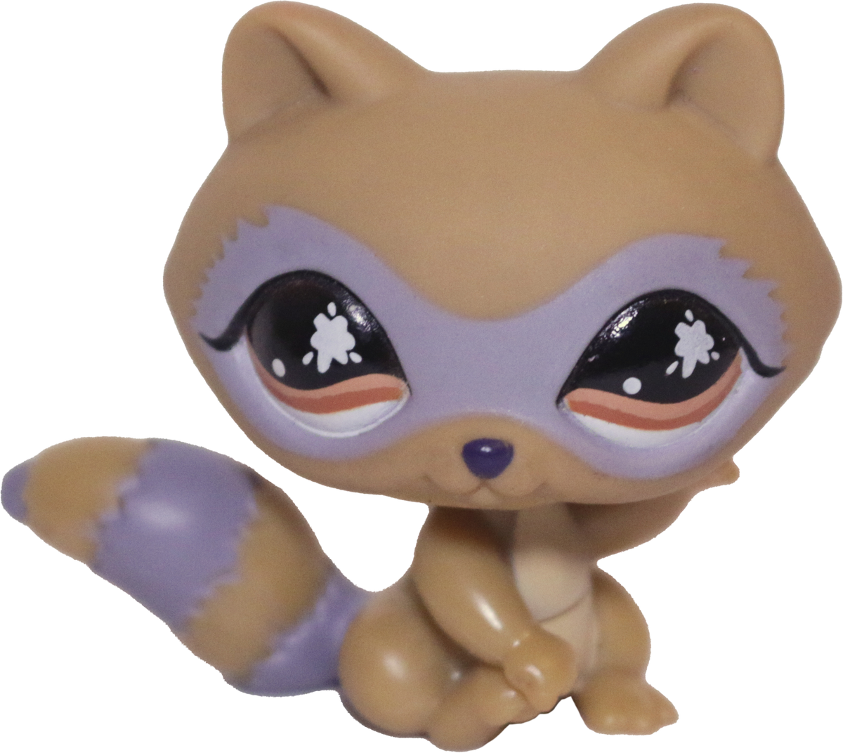 #0652 Raccoon