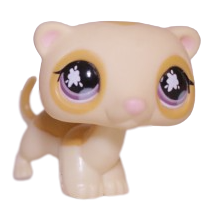 #0653 Ferret
