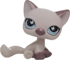 #0664 Sitting Cat