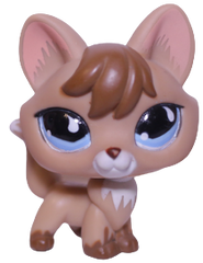#0673 Fox