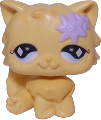 #0692 Persian Cat