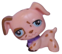 #0701 Dalmatian