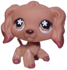 #0716 Cocker Spaniel