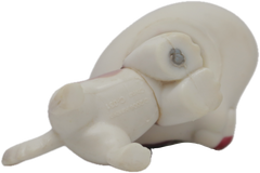 LPS #0749 Ferret