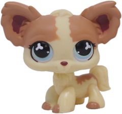 LPS #0765 Chihuahua
