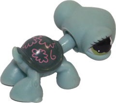 #0793 Turtle