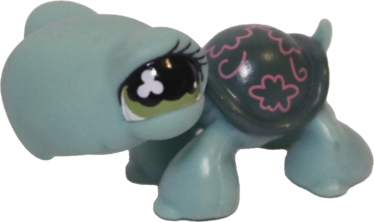 #0793 Turtle