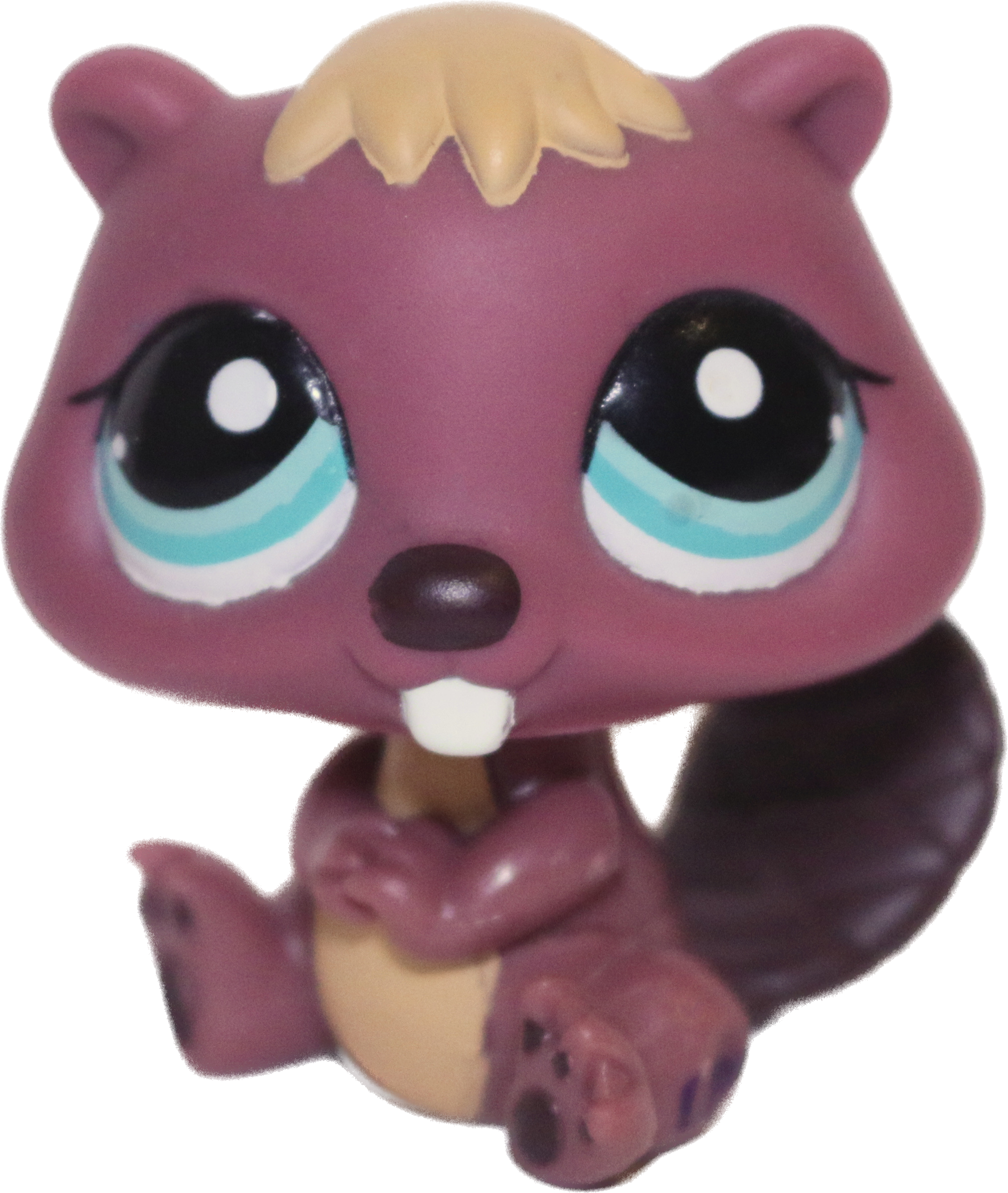 #0810 Beaver