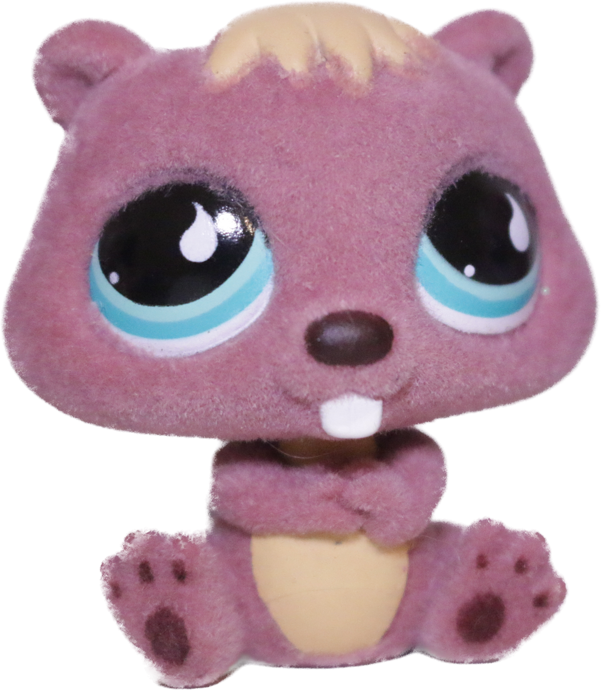 #0810 Beaver