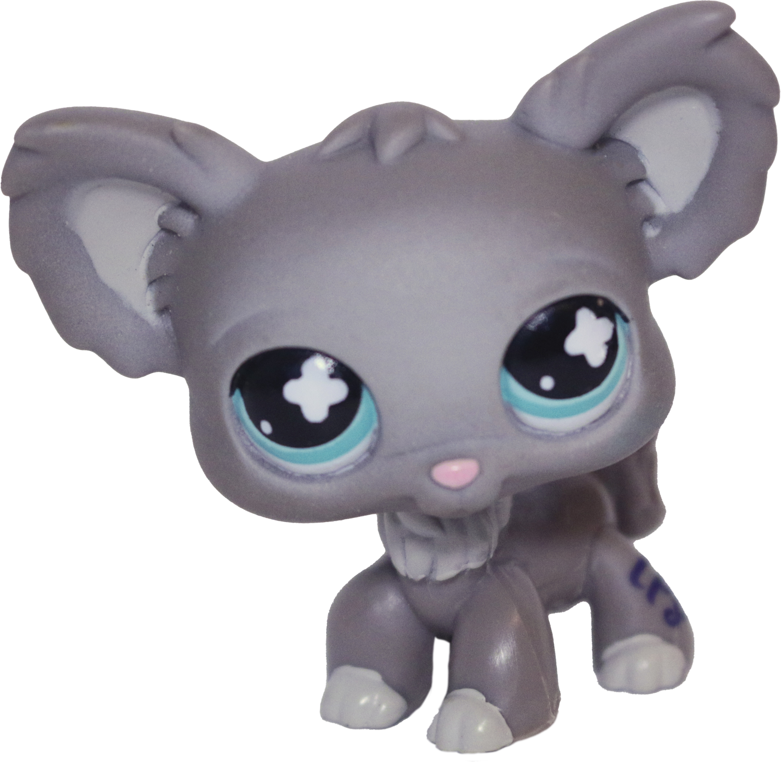 #0836 Chihuahua