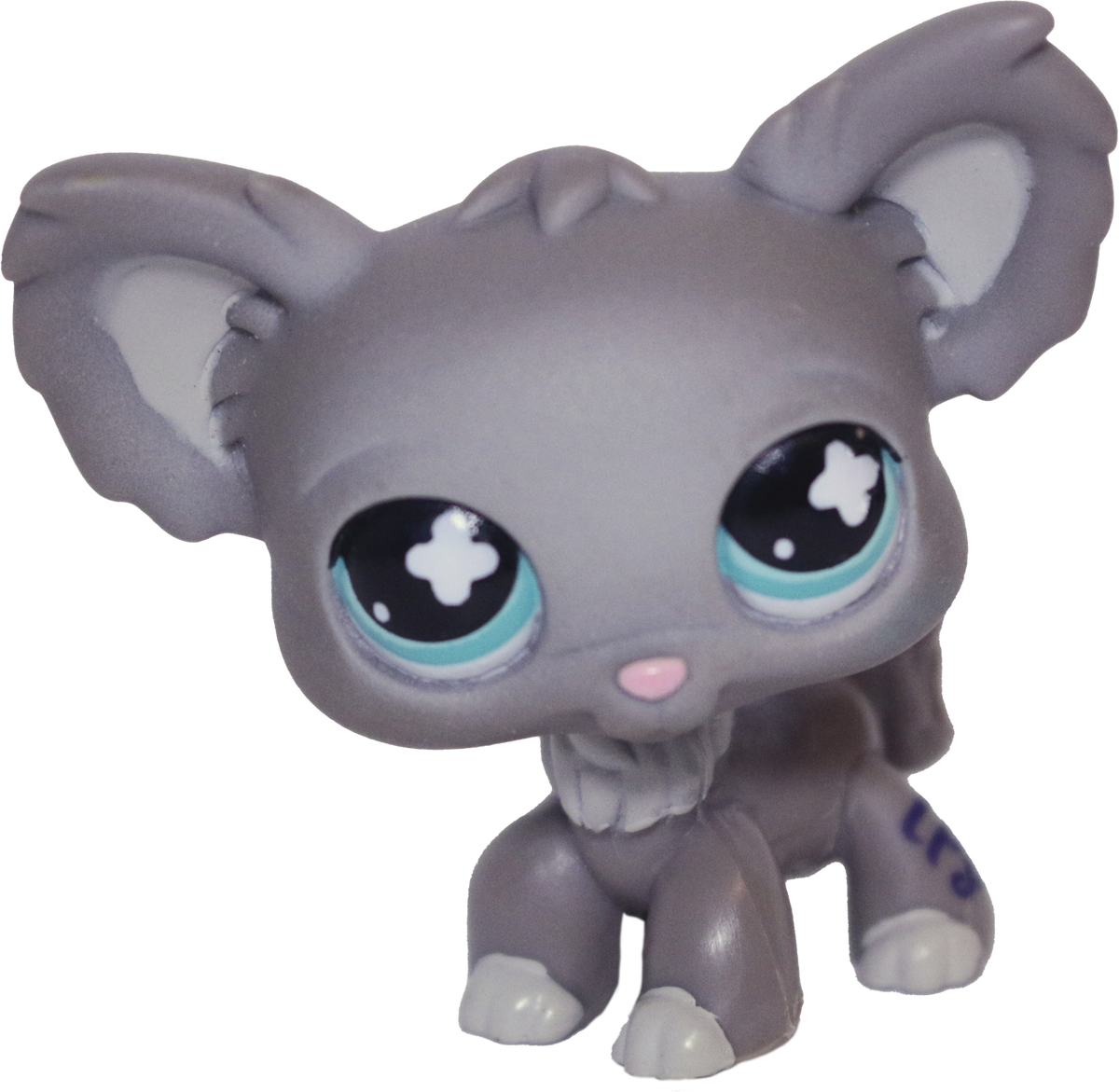 #0836 Chihuahua