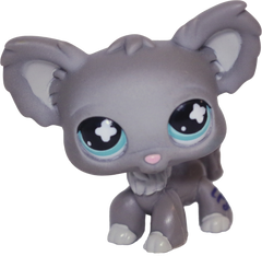#0836 Chihuahua