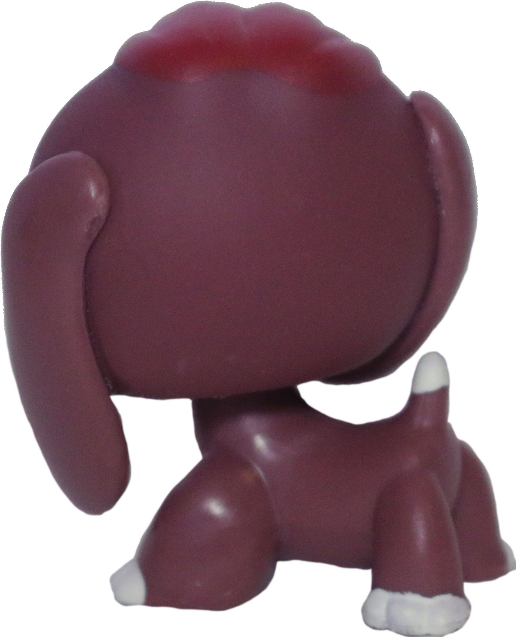 #0849 Beagle