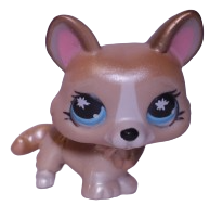 #0871 Corgi