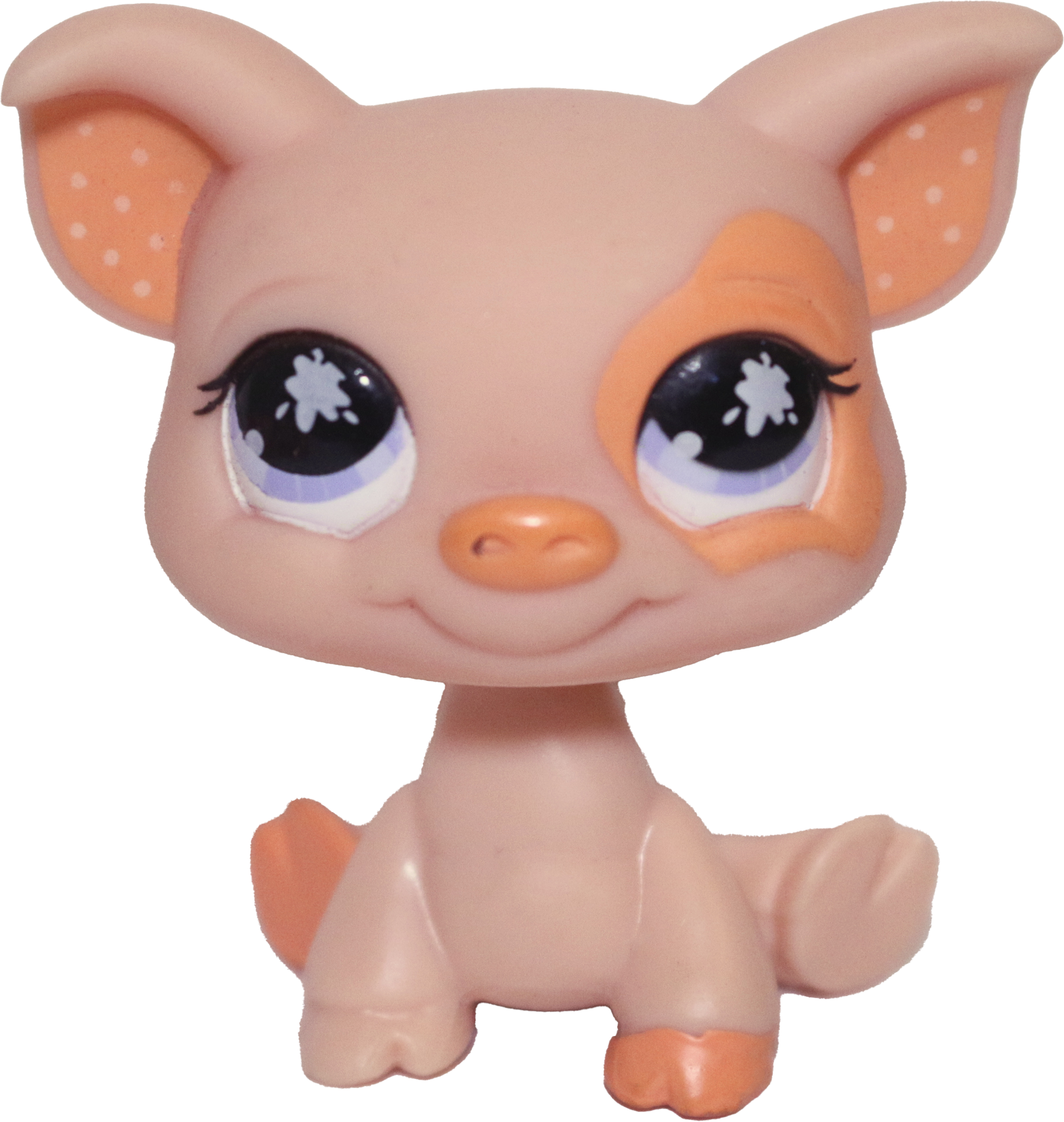 #0885 Pig