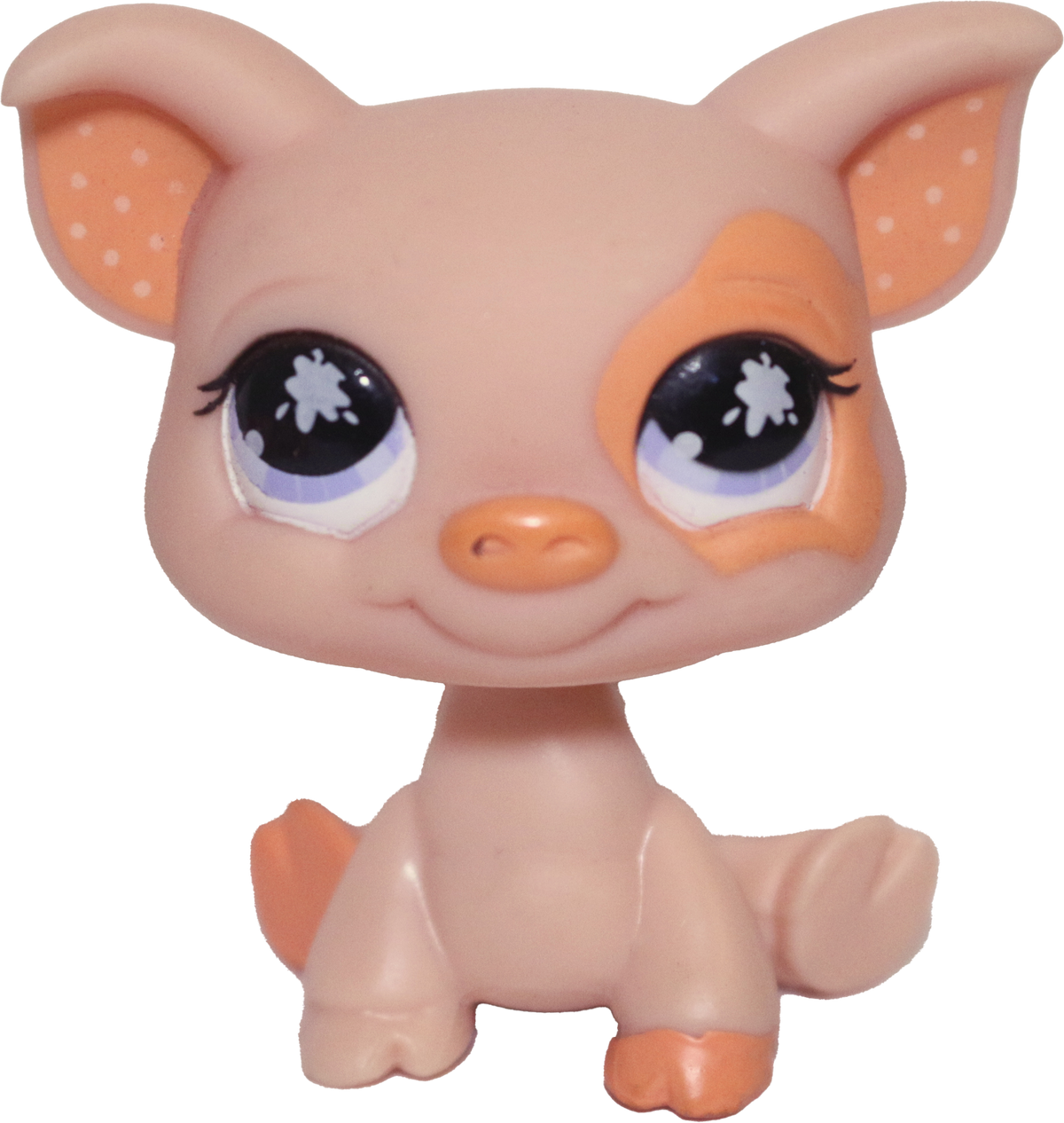 #0885 Pig