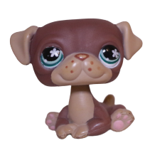 #0889 Pug