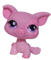 #0926 Pig