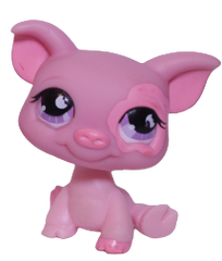 #0926 Pig