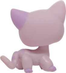 #0933 Shorthair Cat