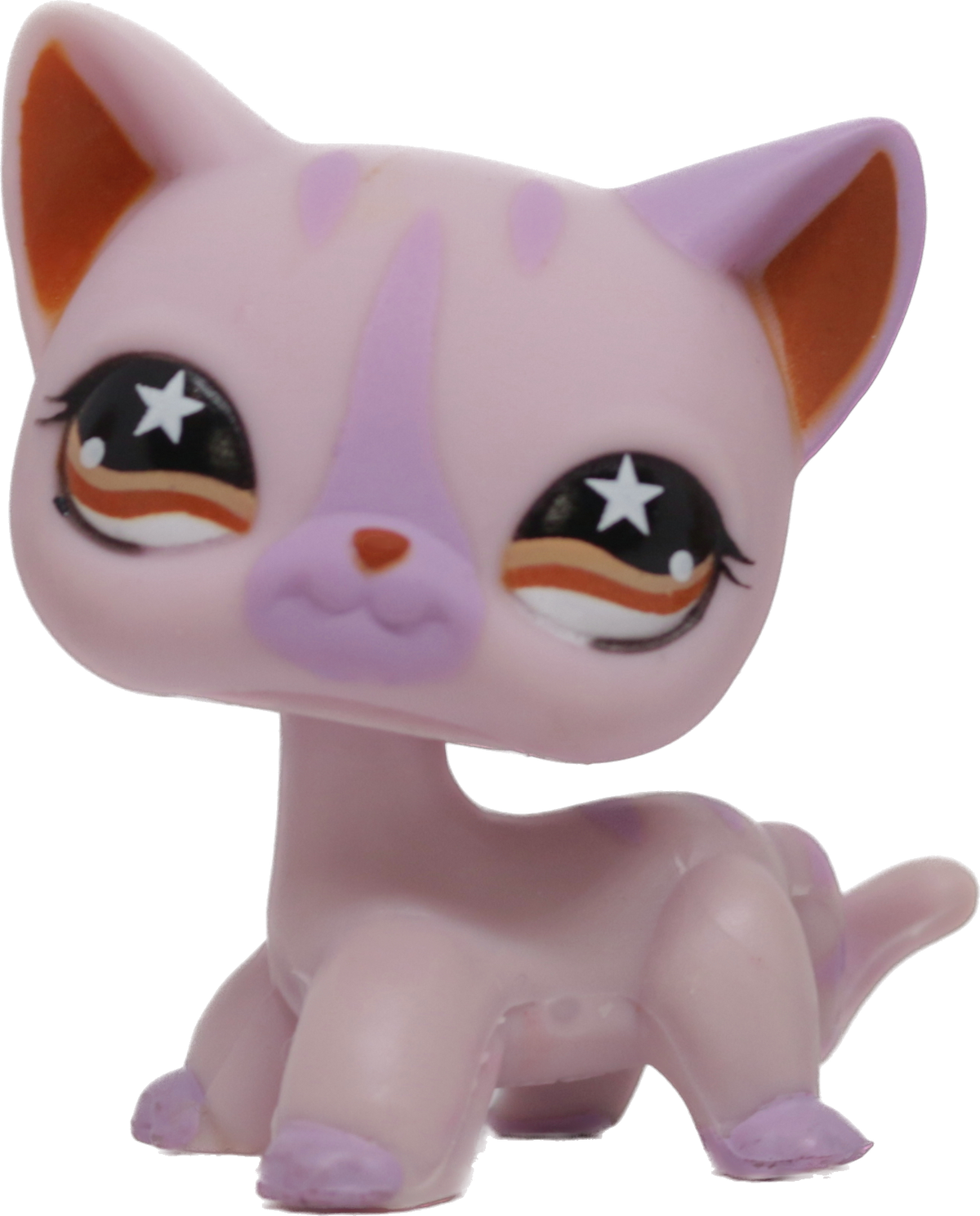 #0933 Shorthair Cat
