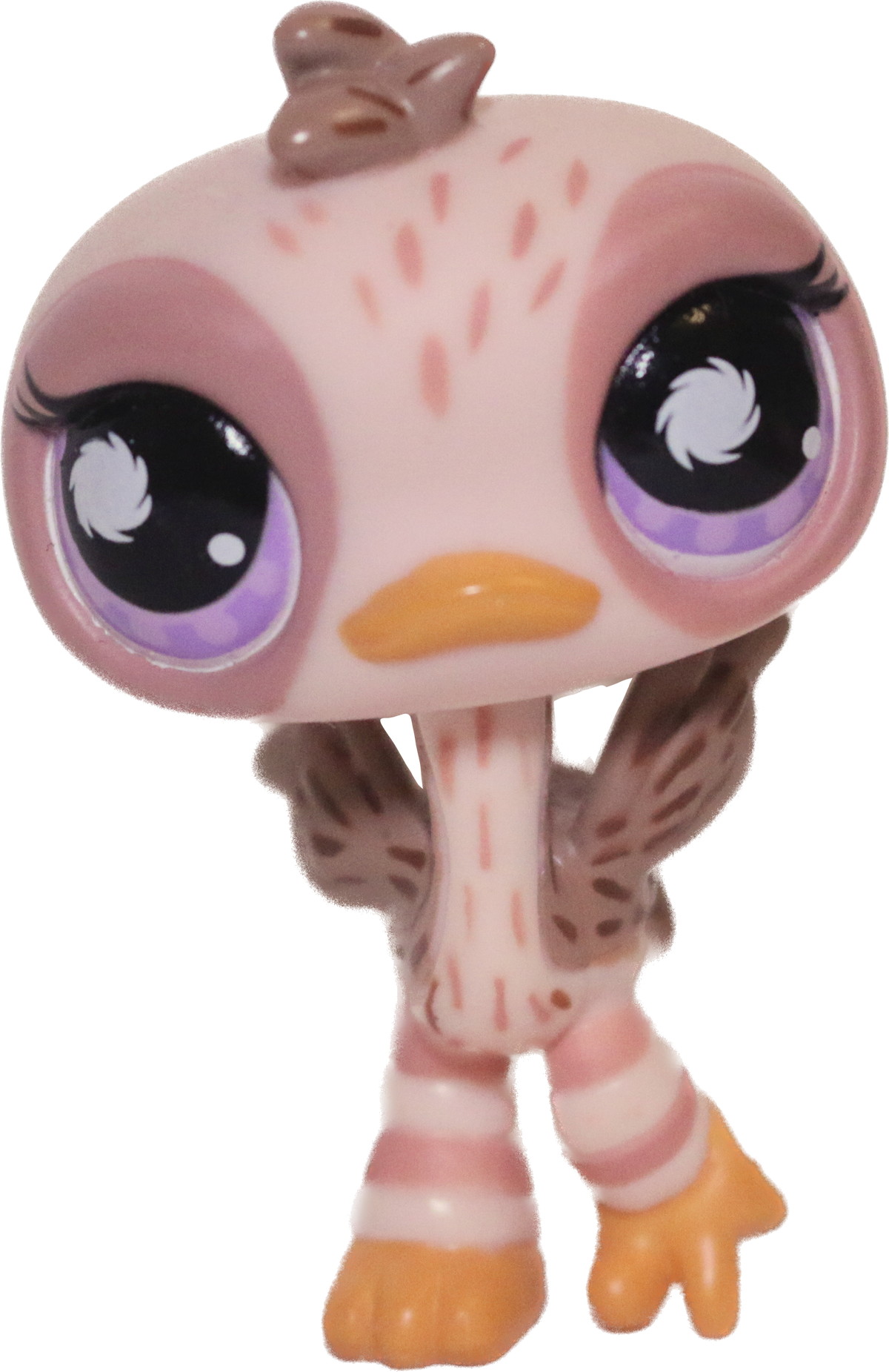 #0945 Ostrich