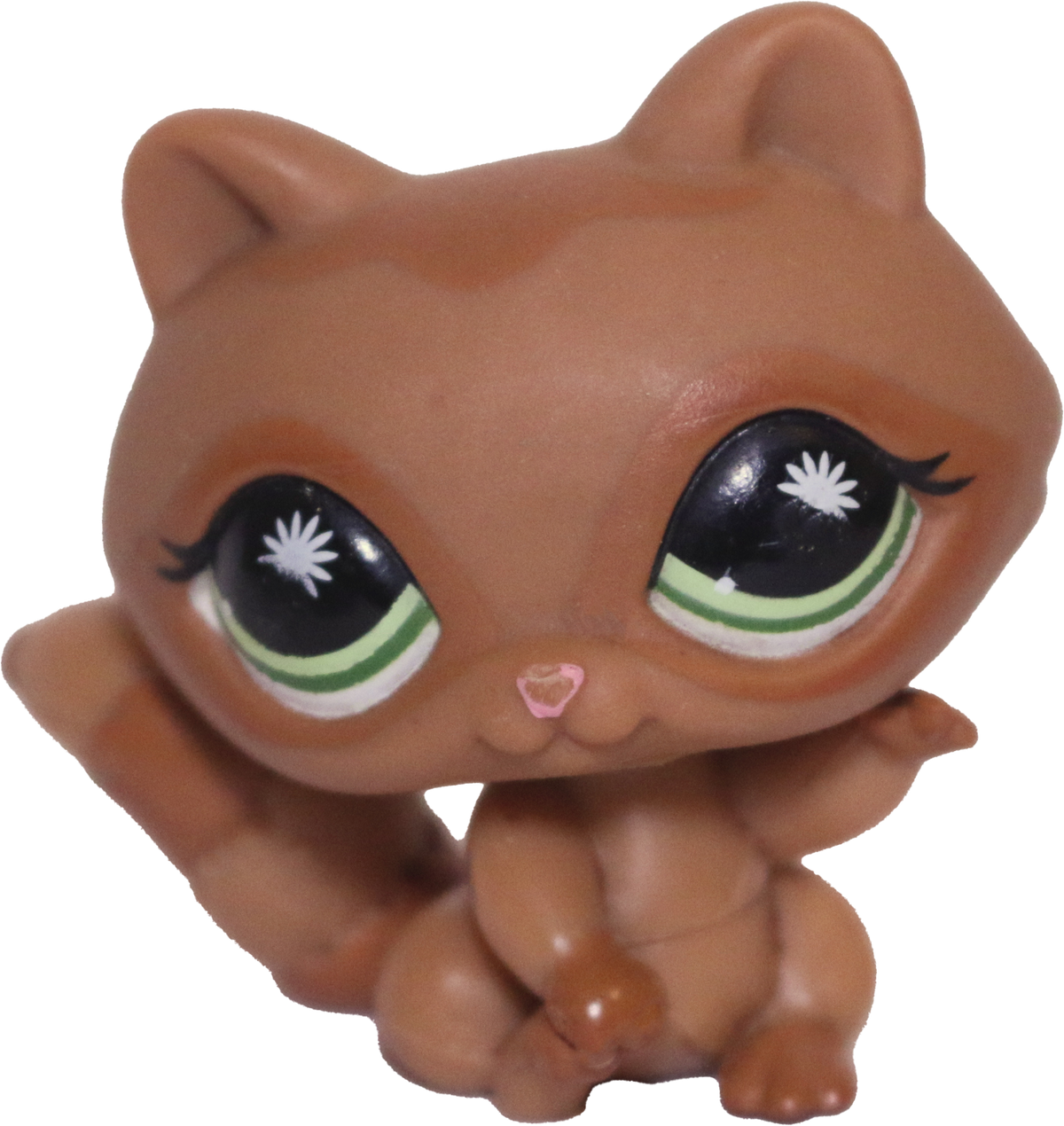 #0953 Raccoon
