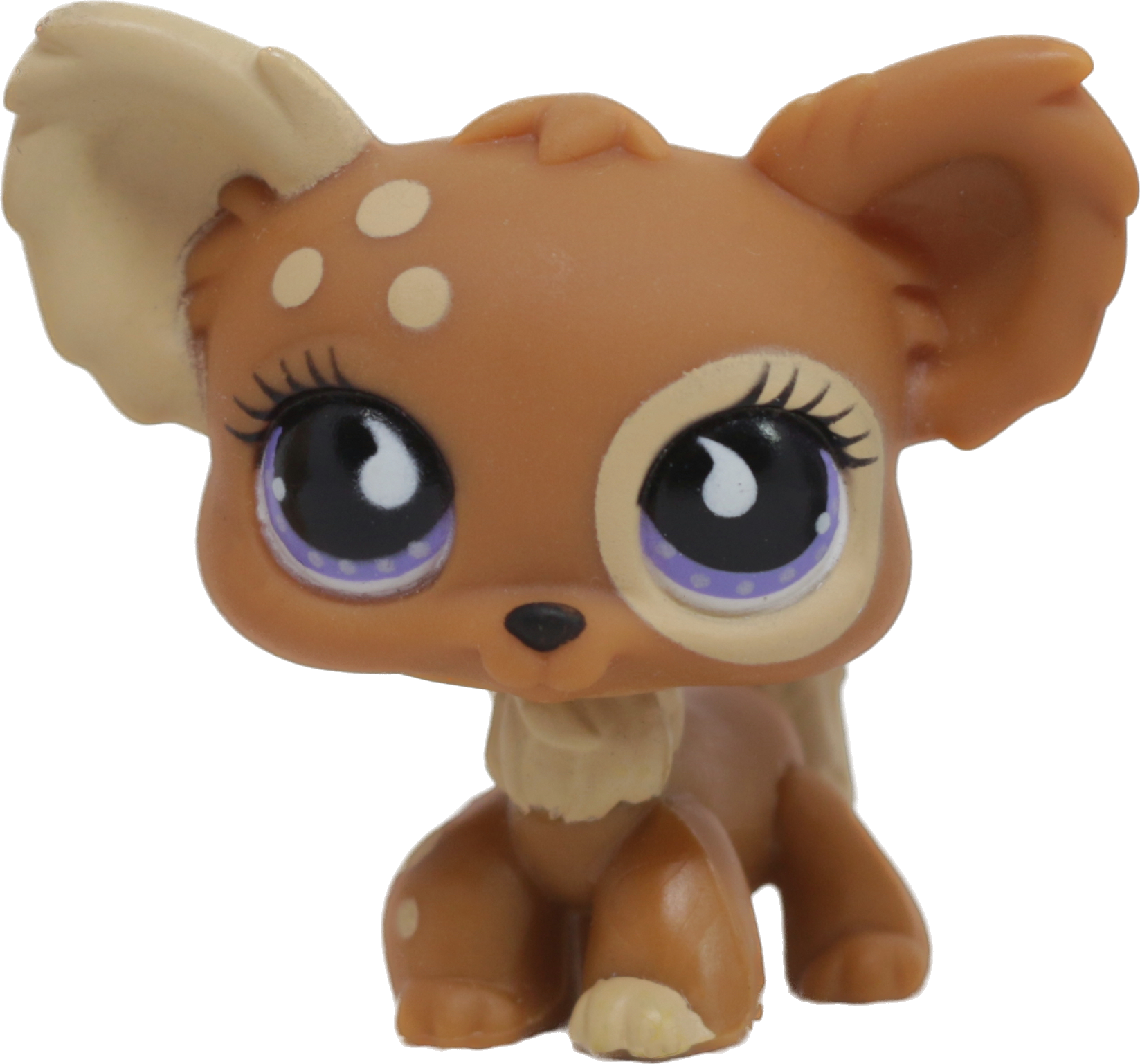 #0963 Chihuahua