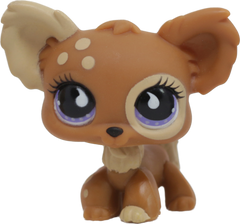 #0963 Chihuahua