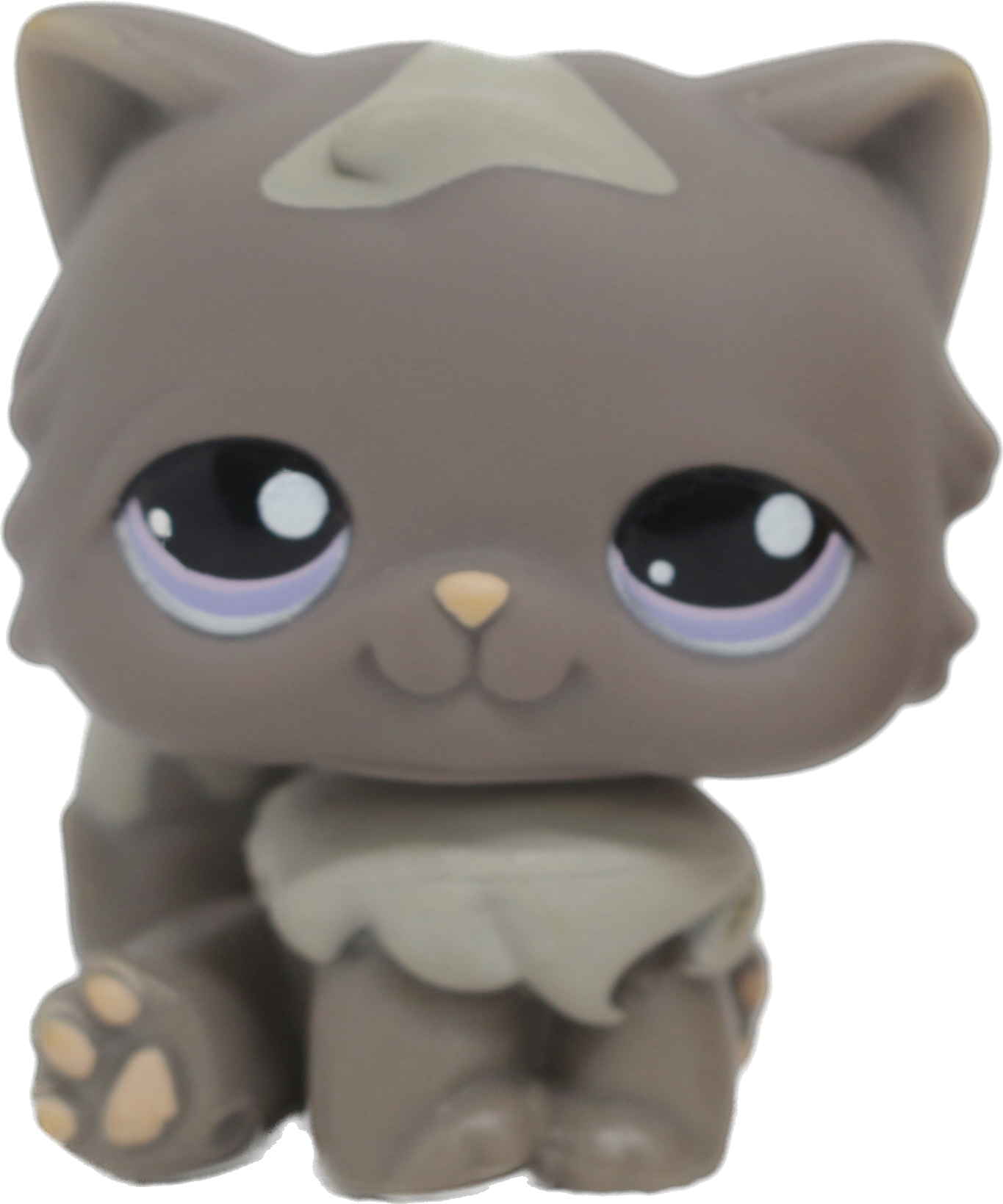 #0973 Persian Cat