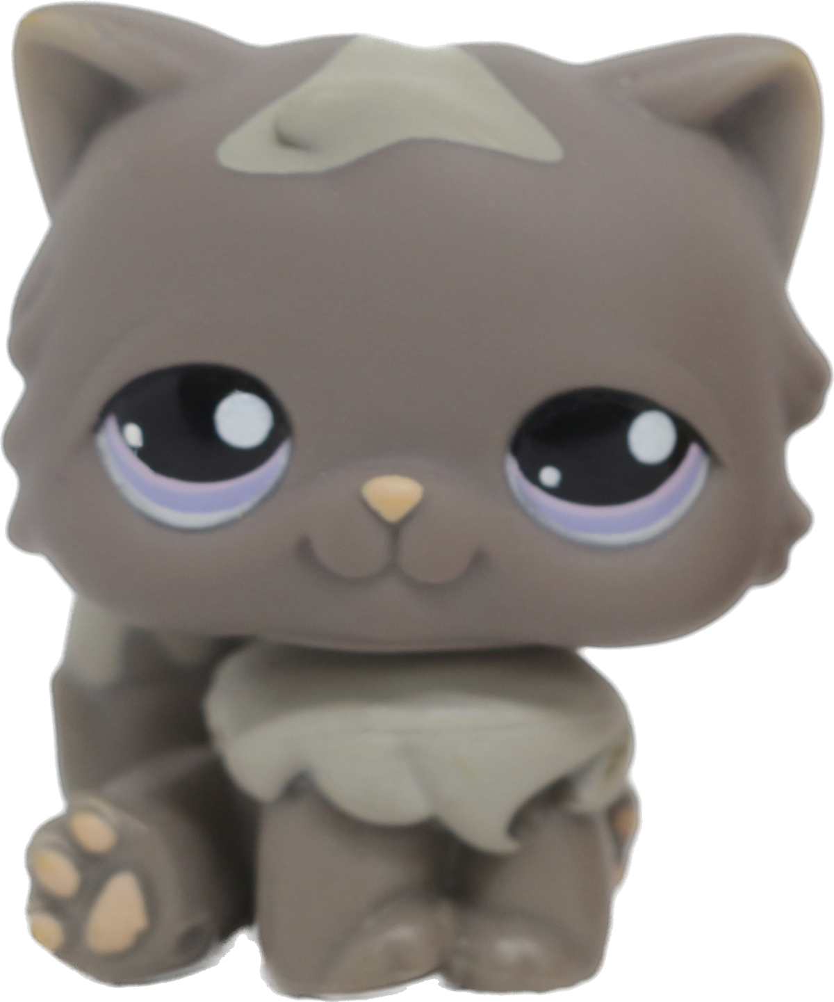 #0973 Persian Cat