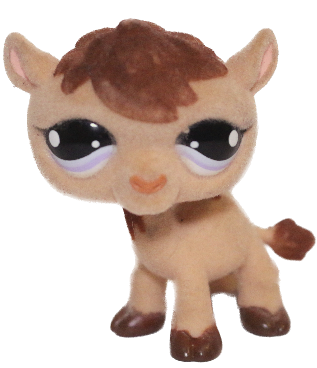 #0997 Camel