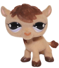 #0997 Camel